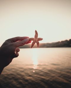 shallow focus photo of person holding a starfish